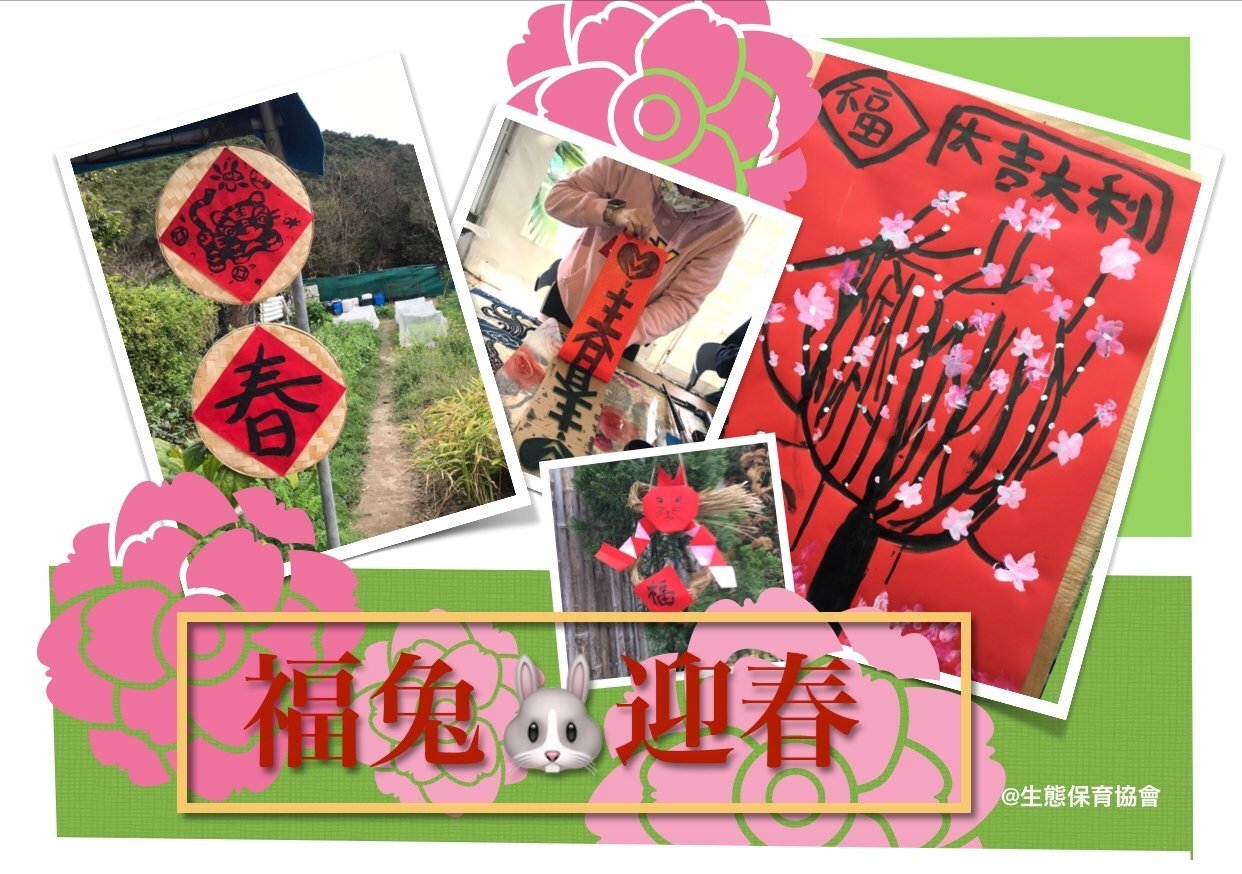 【貝澳】601 (6人)-工作坊連豪華露營車體驗套票 601 (親親小動物/早.晚餐)
