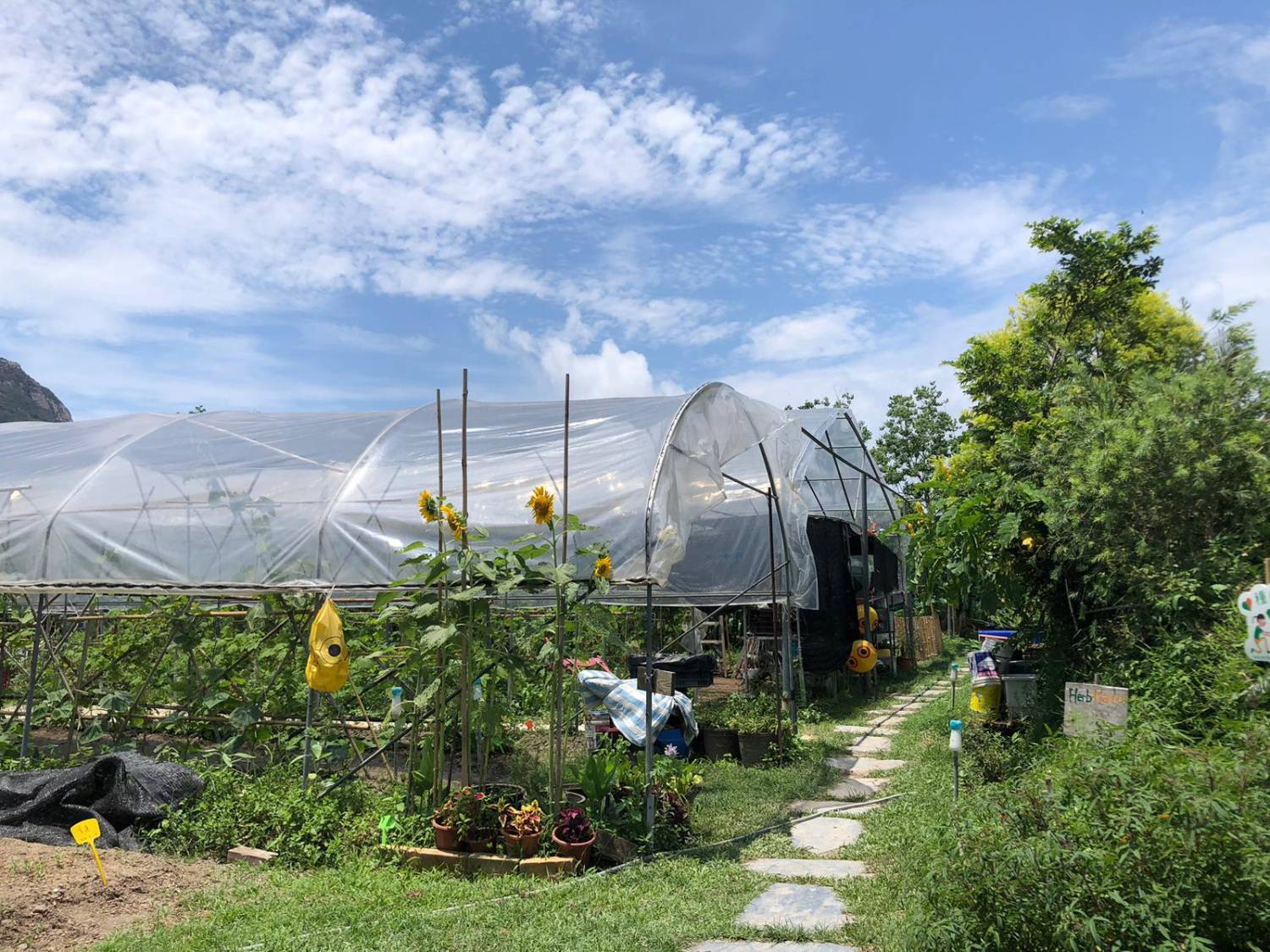 「貝澳露營車BBQ輕旅日｜BBQ．露營車．酵素體驗｜一價全包的自然慢活假期」