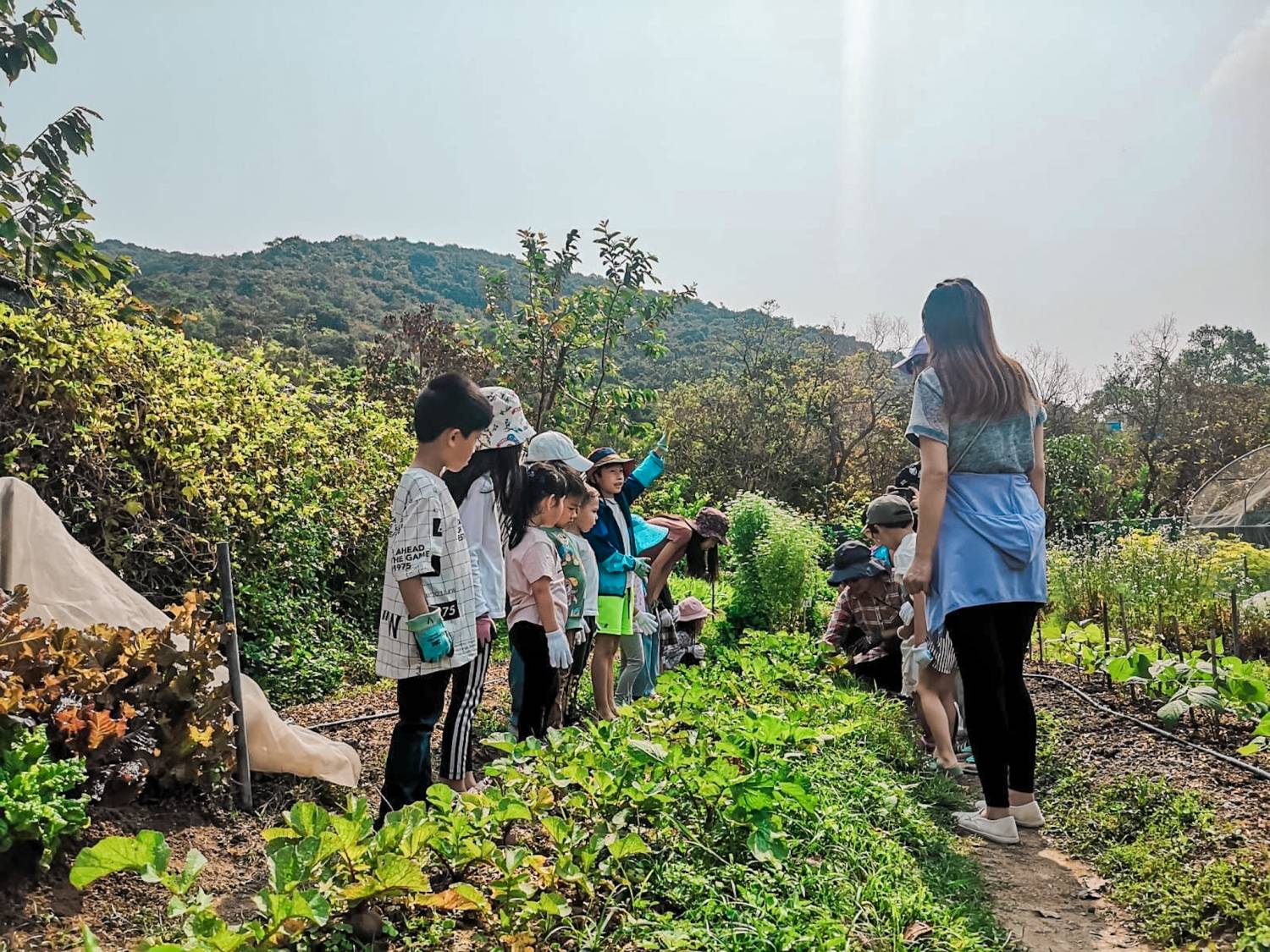 [燒烤]  貝澳戶外 BBQ Party｜露營車派對式燒烤體驗 | 朋友聚會、公司活動、家庭日、節日慶祝