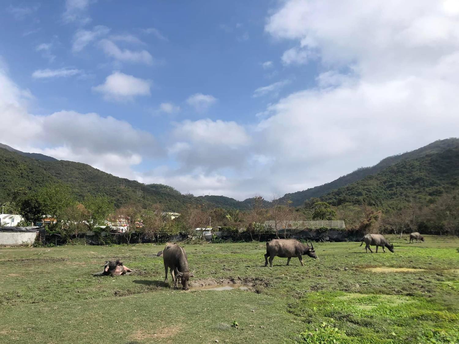 「貝澳露營車BBQ輕旅日｜BBQ．露營車．酵素體驗｜一價全包的自然慢活假期」