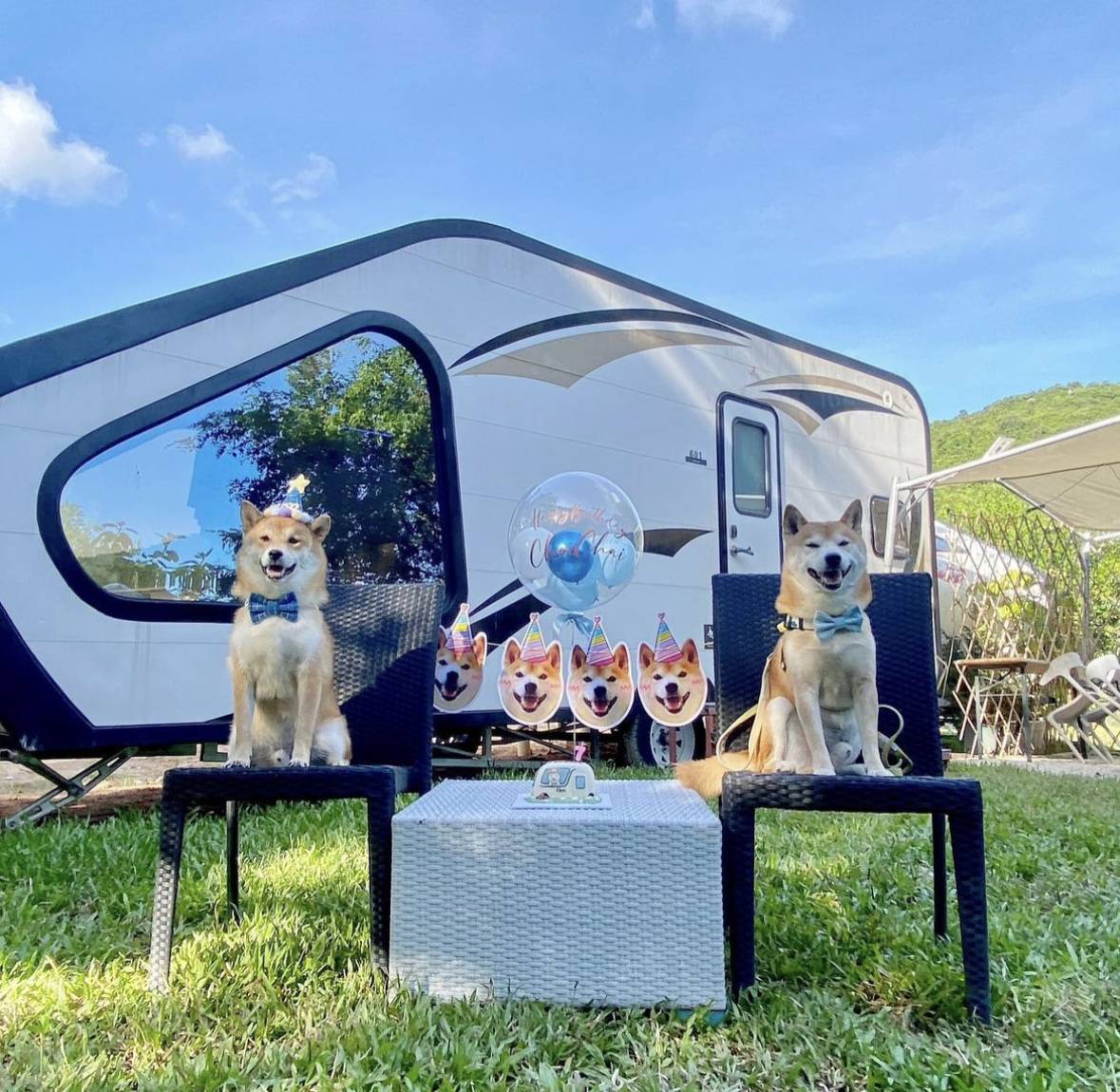 [燒烤]  貝澳戶外 BBQ Party｜露營車派對式燒烤體驗 | 朋友聚會、公司活動、家庭日、節日慶祝