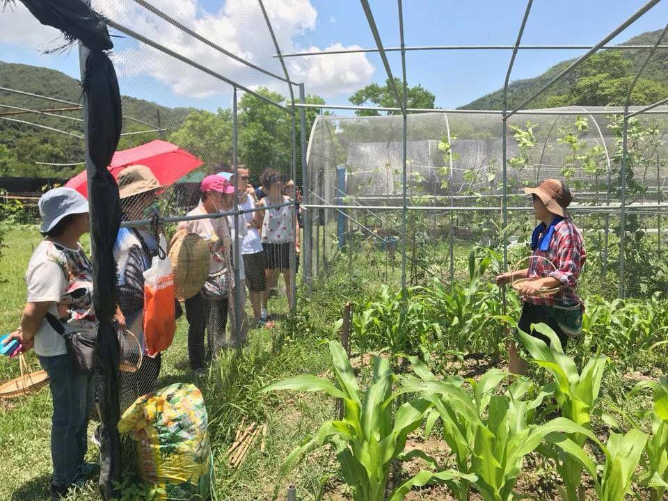 「貝澳露營車BBQ輕旅日｜BBQ．露營車．酵素體驗｜一價全包的自然慢活假期」