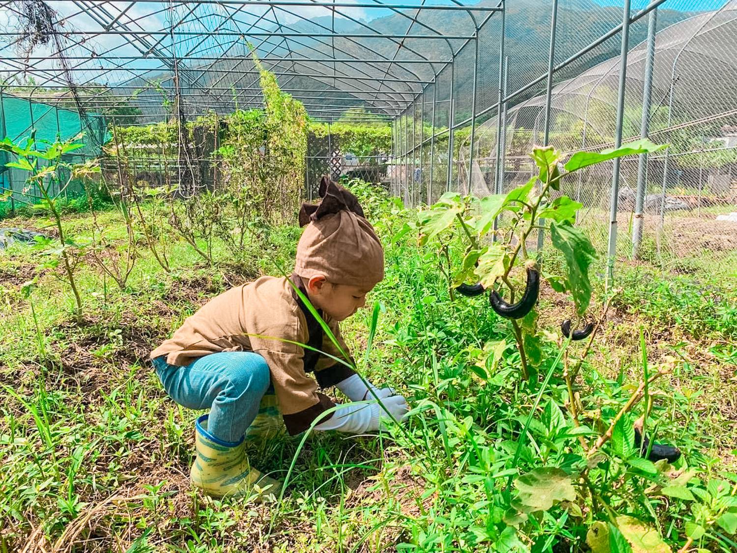 [燒烤]  貝澳戶外 BBQ Party｜露營車派對式燒烤體驗 | 朋友聚會、公司活動、家庭日、節日慶祝