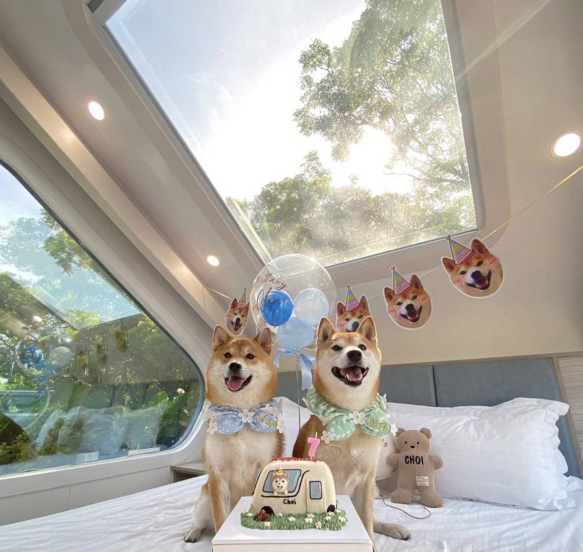 [燒烤]  貝澳戶外 BBQ Party｜露營車派對式燒烤體驗 | 朋友聚會、公司活動、家庭日、節日慶祝